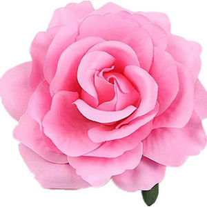 Meet your Posher, Lila